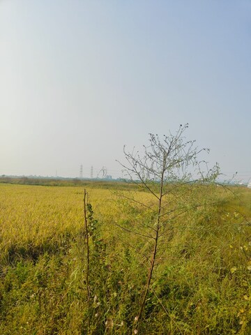 Plot Area in  Plot at Chirle – for Sale