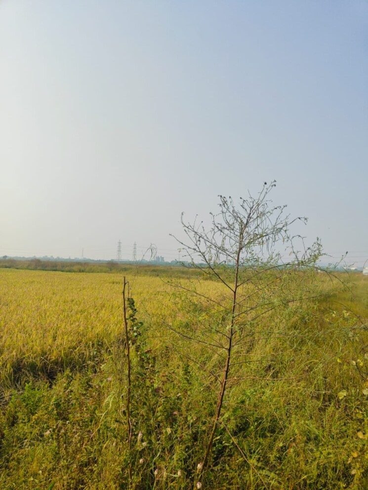 undefined, chirle  1089 Sq.Ft. Plot In Chirle Navi Mumbai 8026742