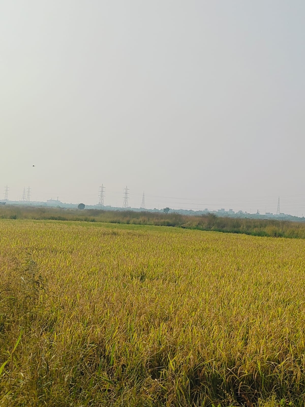 Land For Sale in Legal Property Developers