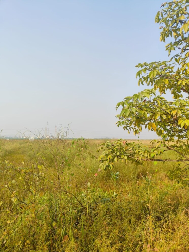 Exterior View, chirle Commercial Land 1089 Sq.Ft. In Chirle Navi Mumbai 8026743