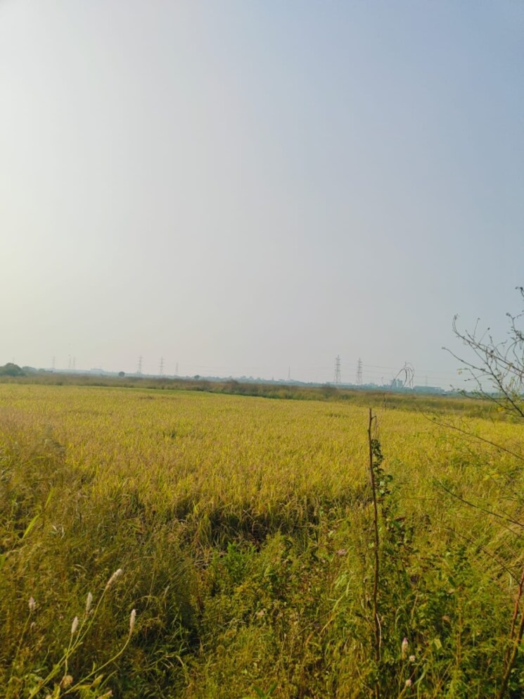 undefined, chirle Commercial Land 1089 Sq.Ft. In Chirle Navi Mumbai 8026743