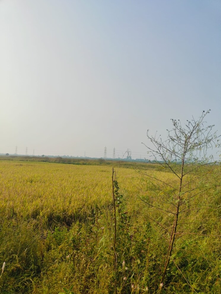 undefined, chirle Commercial Land 1089 Sq.Ft. In Chirle Navi Mumbai 8026743