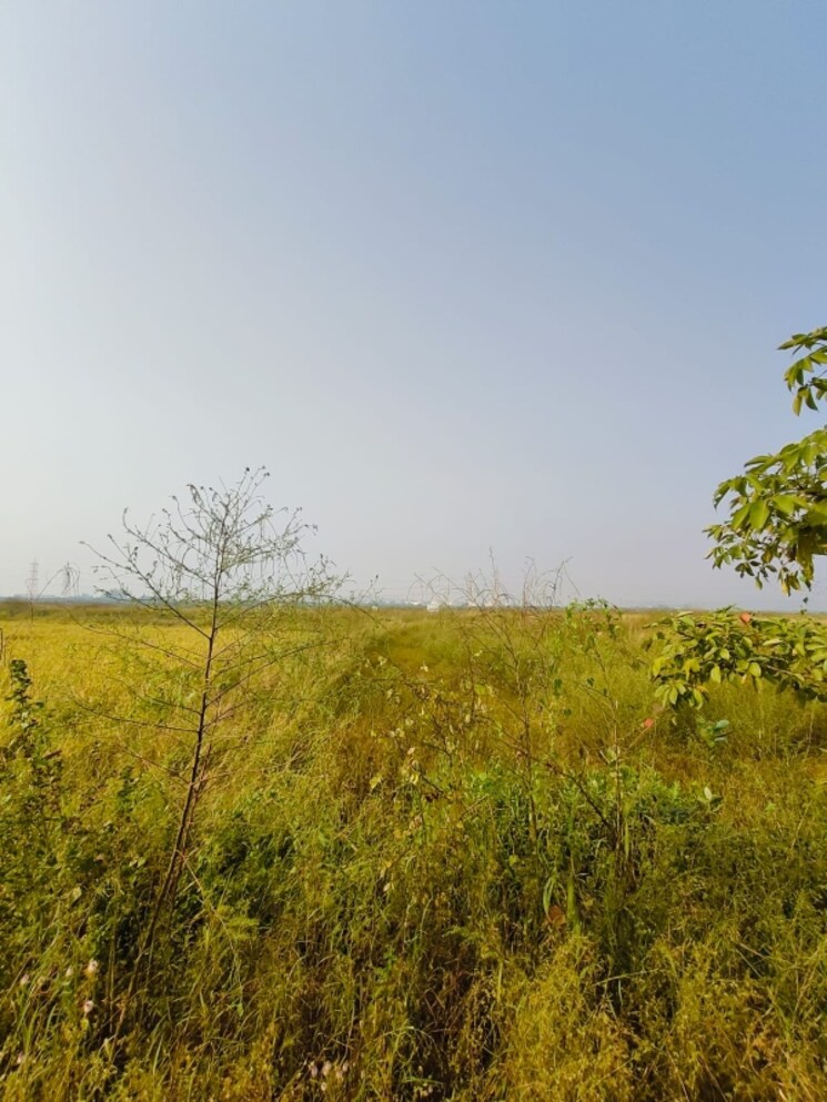 undefined, chirle Commercial Land 1089 Sq.Ft. In Chirle Navi Mumbai 8026743