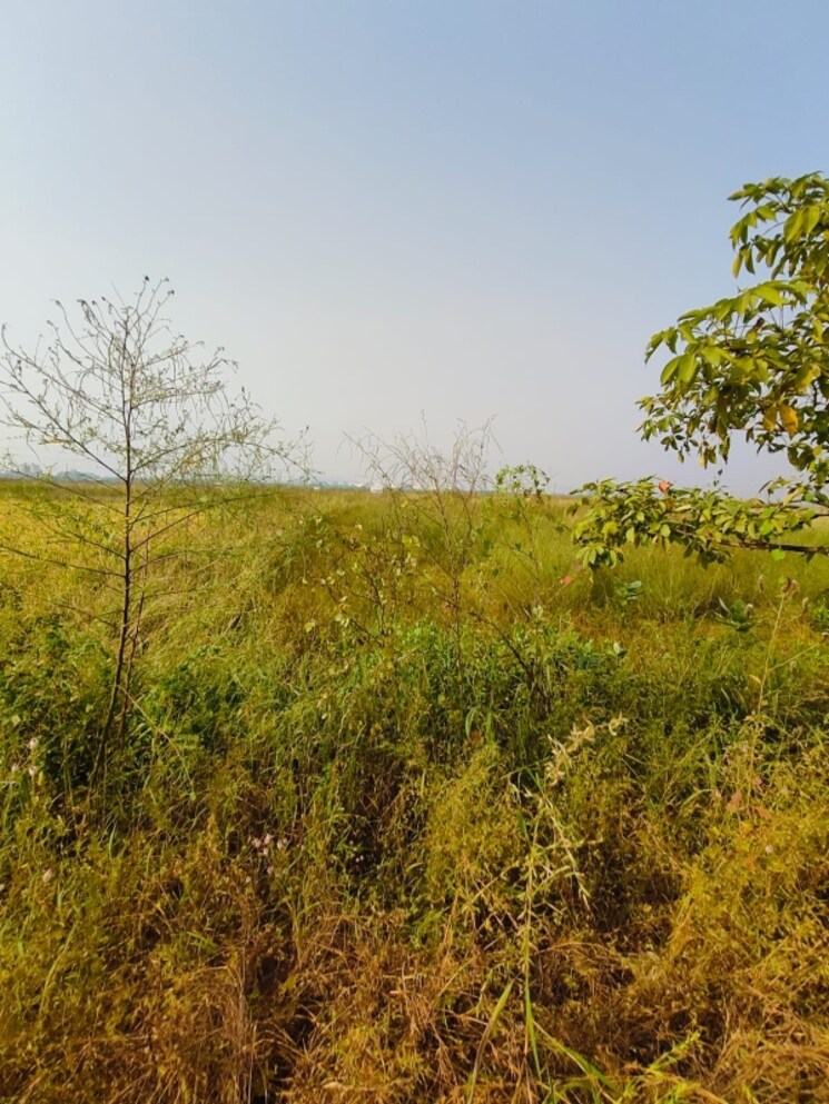 undefined, chirle  1089 Sq.Ft. Plot In Chirle Navi Mumbai 8026793