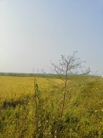  Plot For Sale in Chirle