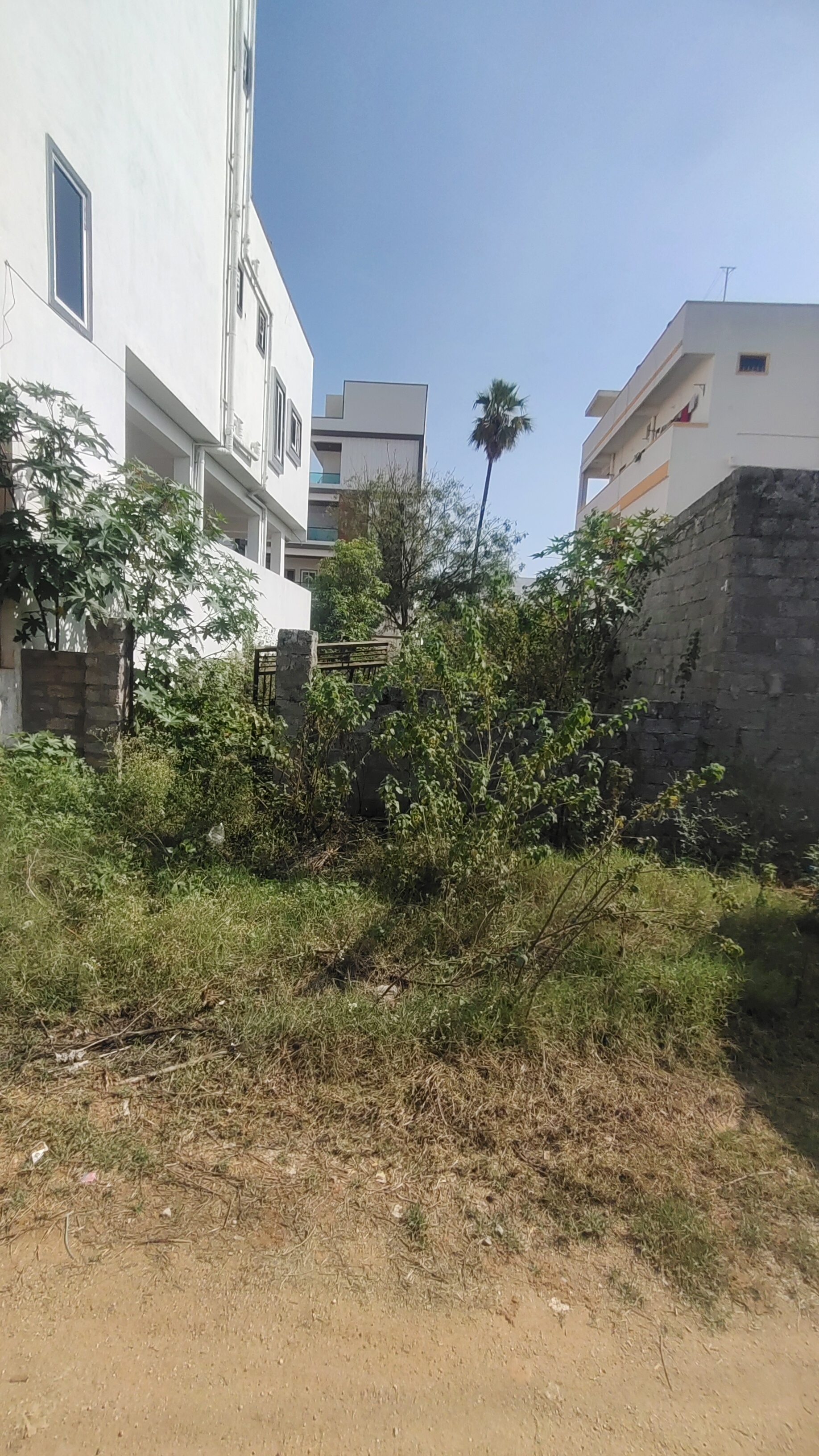 Plot For Sale in Hanuman Real Estate's 