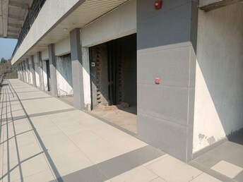 Commercial Shop 350 Sq.Ft. For Rent in Sector 114 Gurgaon  8026782