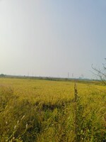 1089 Sq.Ft. Plot in Vindhane