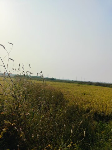 Plot Area in  Plot at Vindhane – for Sale