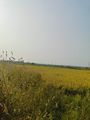 Plot Area in  Plot at Vindhane – for Sale