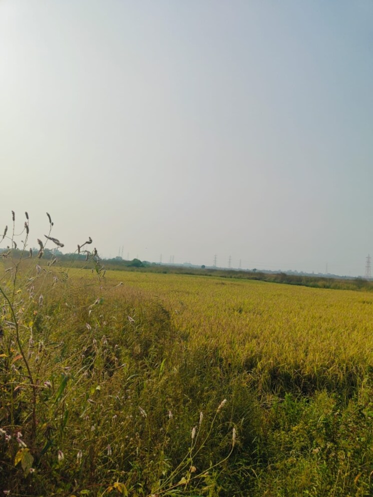 undefined, vindhane  1089 Sq.Ft. Plot In Vindhane Navi Mumbai 8026819