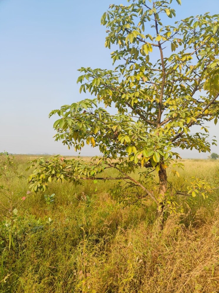 Garden, vindhane  1089 Sq.Ft. Plot In Vindhane Navi Mumbai 8026819