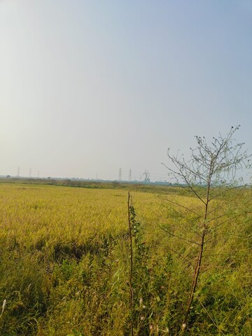 Plot Area in  Land at Chirle – for Sale
