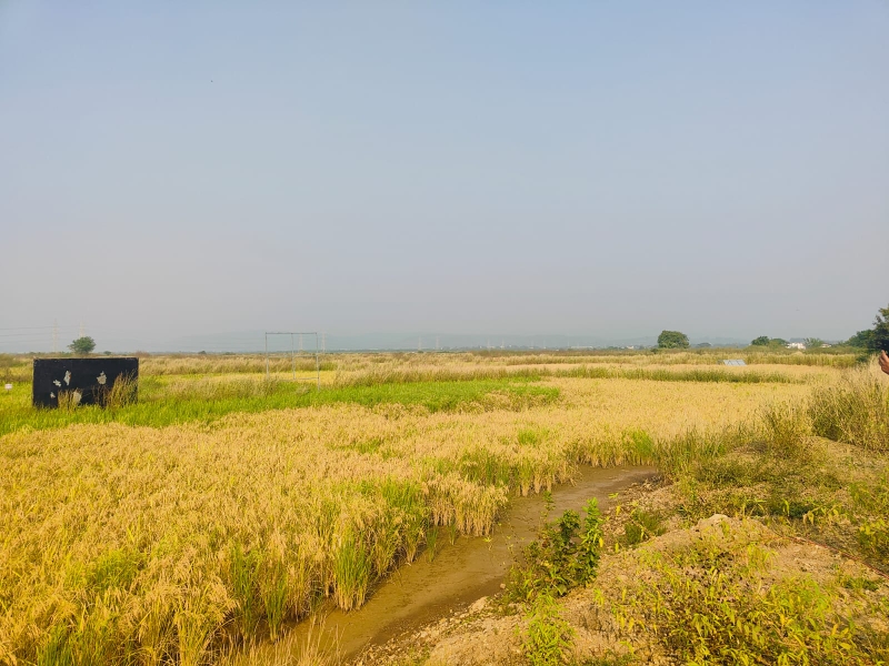 Land For Sale in Legal Property Developers