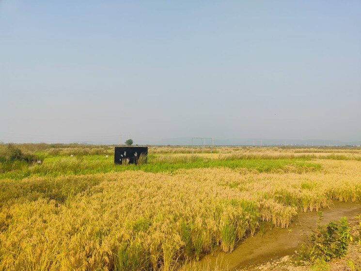 undefined, vindhane Commercial Land 1089 Sq.Ft. In Vindhane Navi Mumbai 8026843