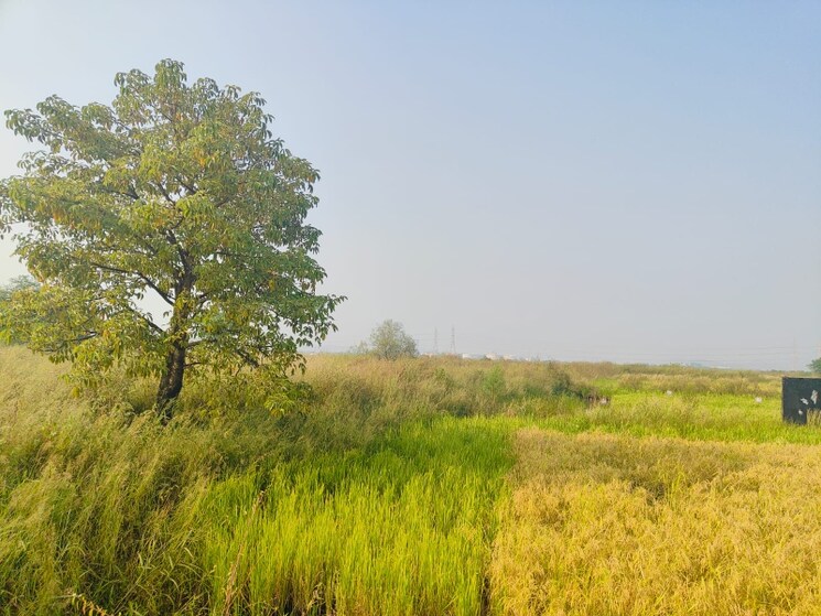 undefined, vindhane Commercial Land 1089 Sq.Ft. In Vindhane Navi Mumbai 8026843