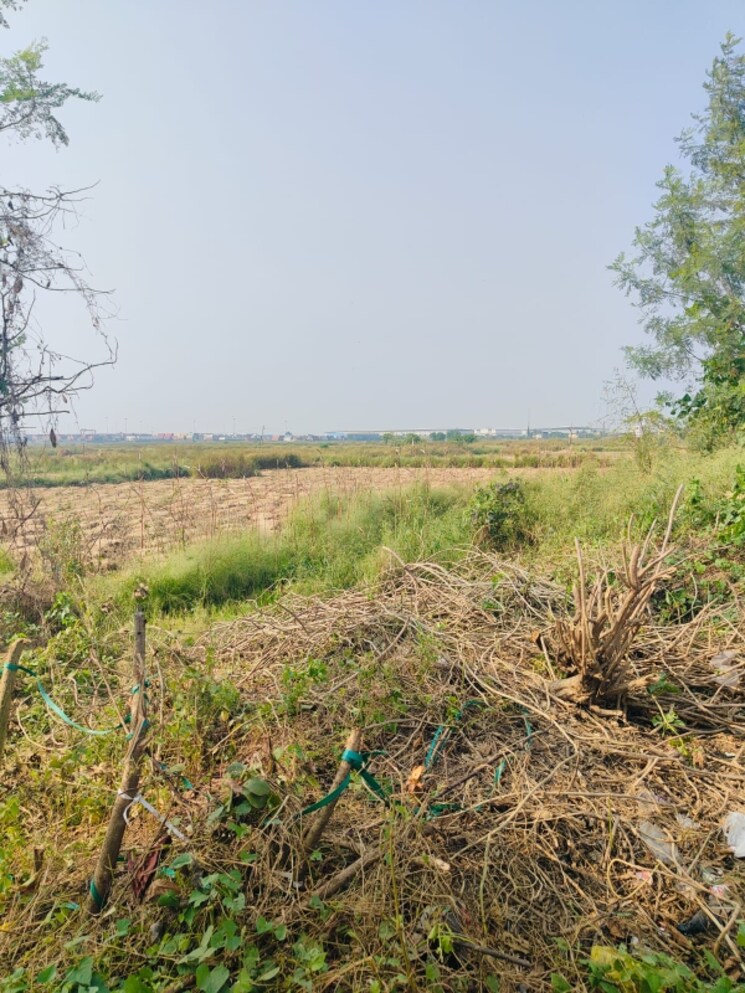 undefined, vindhane Commercial Land 1089 Sq.Ft. In Vindhane Navi Mumbai 8026843