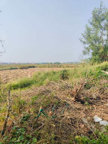 Plot Area in  Plot at Pali – for Sale