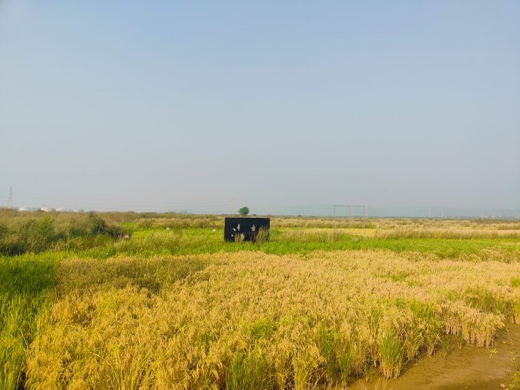 Exterior View, pali  1089 Sq.Ft. Plot In Pali Navi Mumbai 8026876