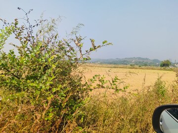 Plot Area in  Plot at Pali – for Sale