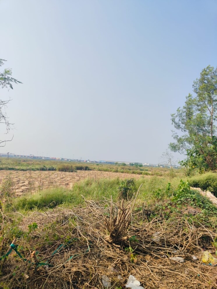 undefined, pali  1089 Sq.Ft. Plot In Pali Navi Mumbai 8026876