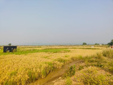 Plot Area in  Plot at Pali – for Sale