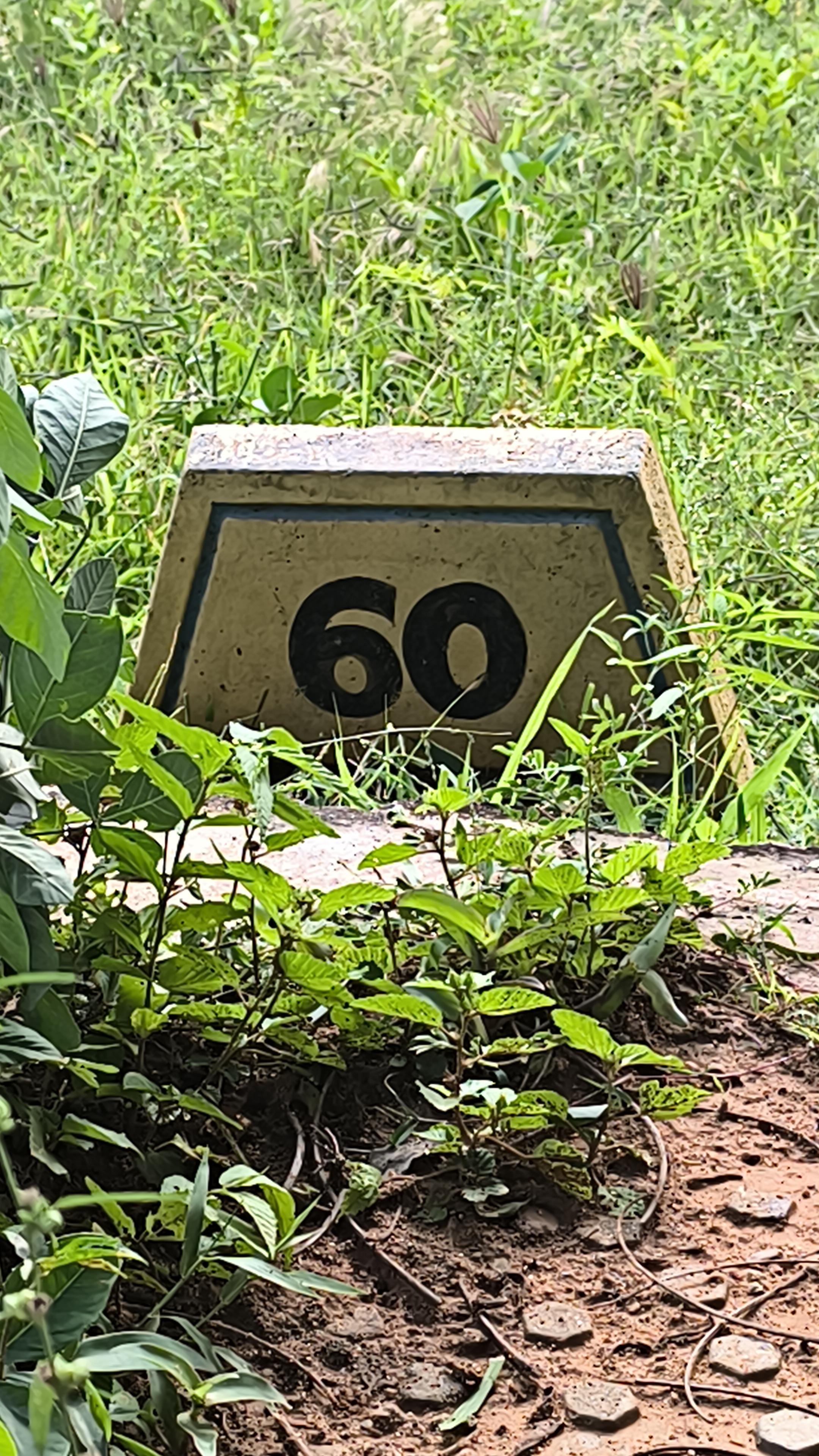 Plot For Sale in Nakshatra Township