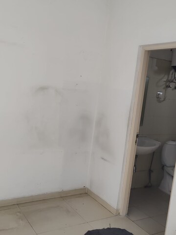 3 BHK Apartment For Rent in SS The Coralwood, Sector 84
