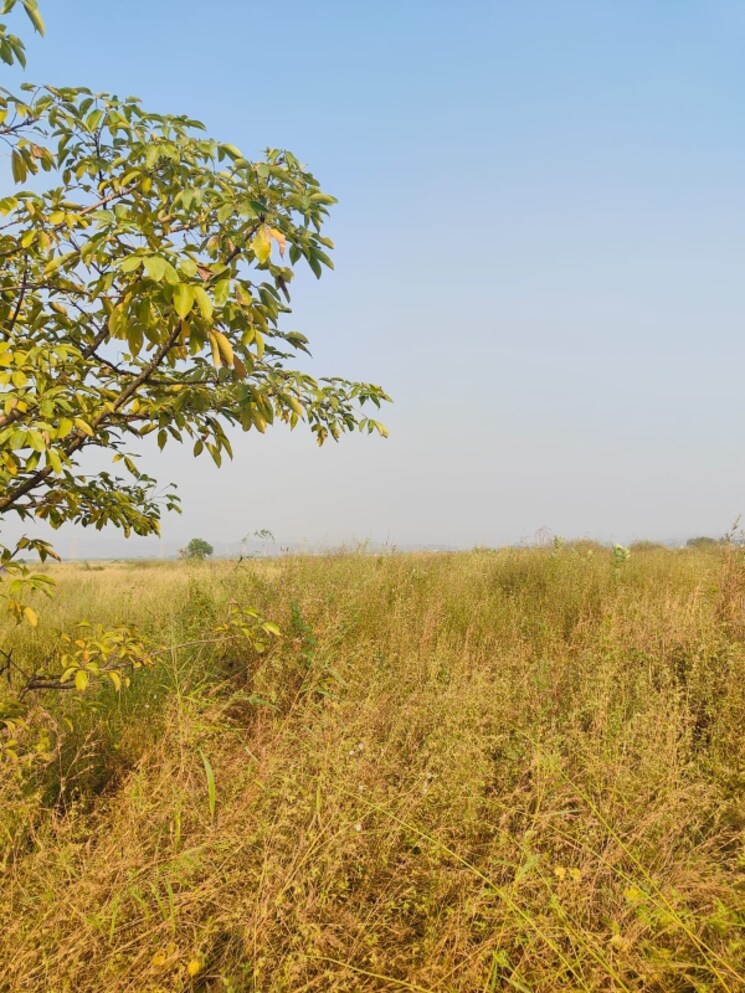 Garden, pali  1089 Sq.Ft. Plot In Pali Navi Mumbai 8027472