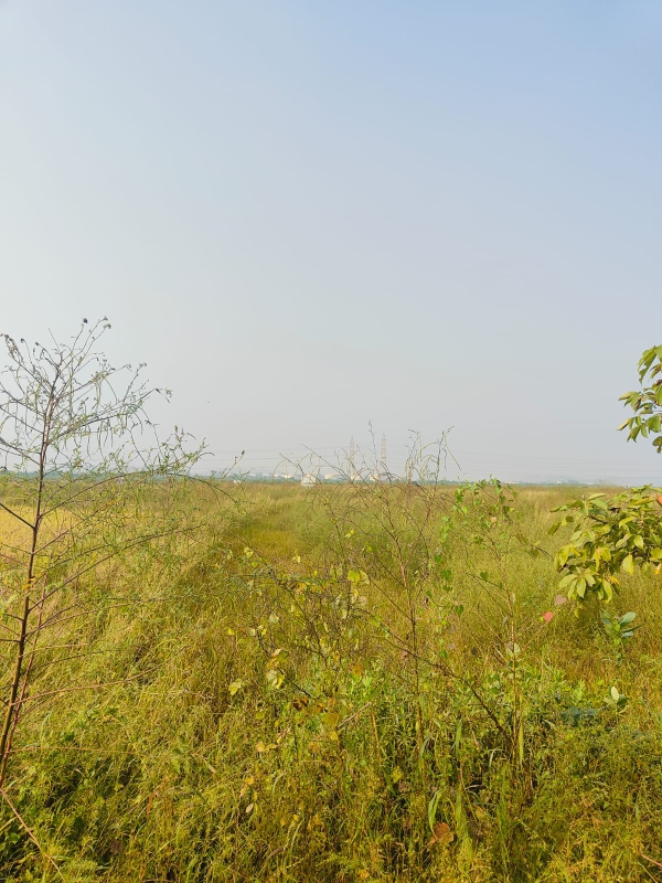 Plot For Sale in Legal Property Developers