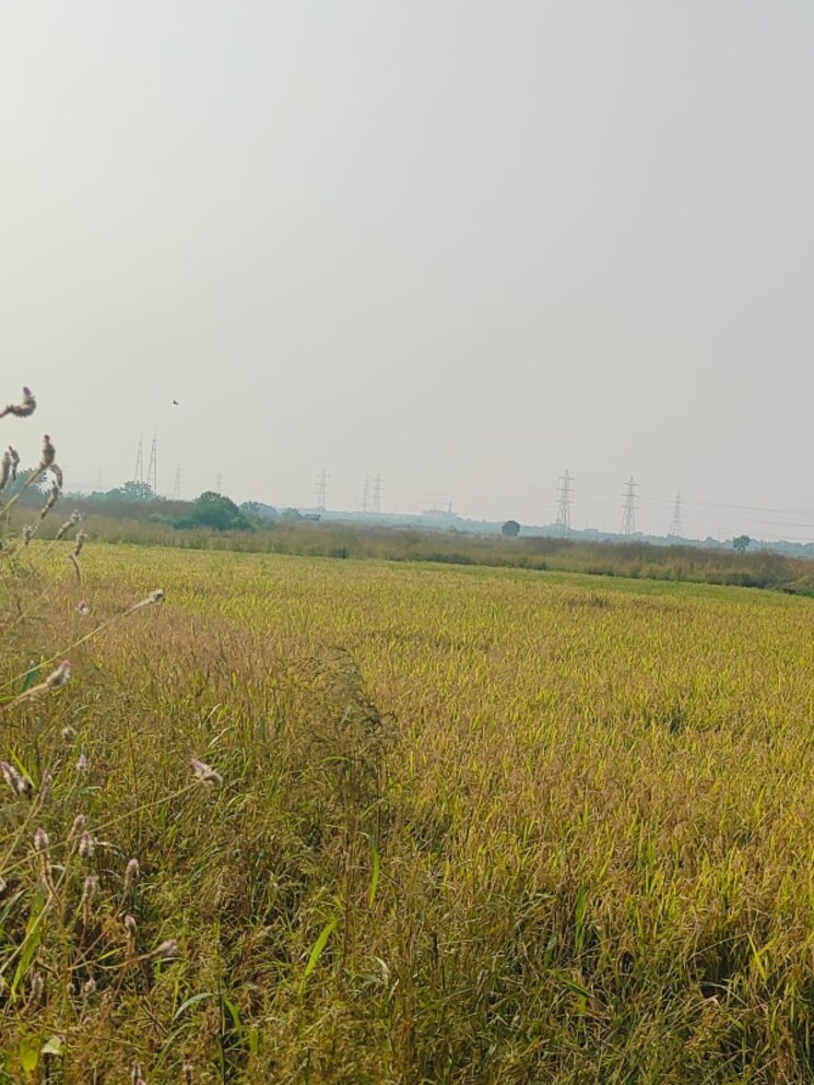 undefined, pali  1089 Sq.Ft. Plot In Pali Navi Mumbai 8027472