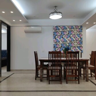 4 BHK Builder Floor For Rent in DLF Pink Town House Dlf City Phase 3 Gurgaon  8027532