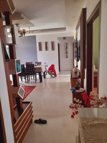 Living Room in 3 BHK Apartment at SS The Coralwood, Sector 84 – for Rent