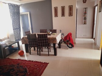 3 BHK Apartment For Rent in SS The Coralwood Sector 84 Gurgaon  8027595