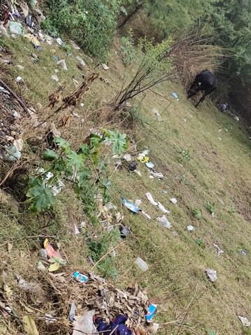 Plot Area in  Plot at Sector 127 – for Sale