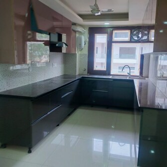 4 BHK Builder Floor For Rent in Sushant Lok 1 Sushant Lok I Gurgaon  8027640