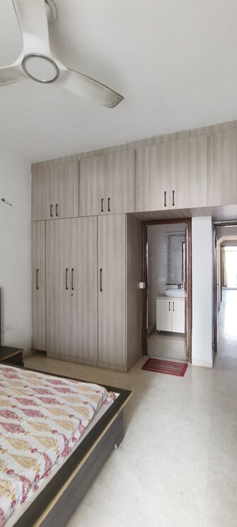 3 BHK Apartment For Rent in SS Almeria Sector 84 Gurgaon  8027831