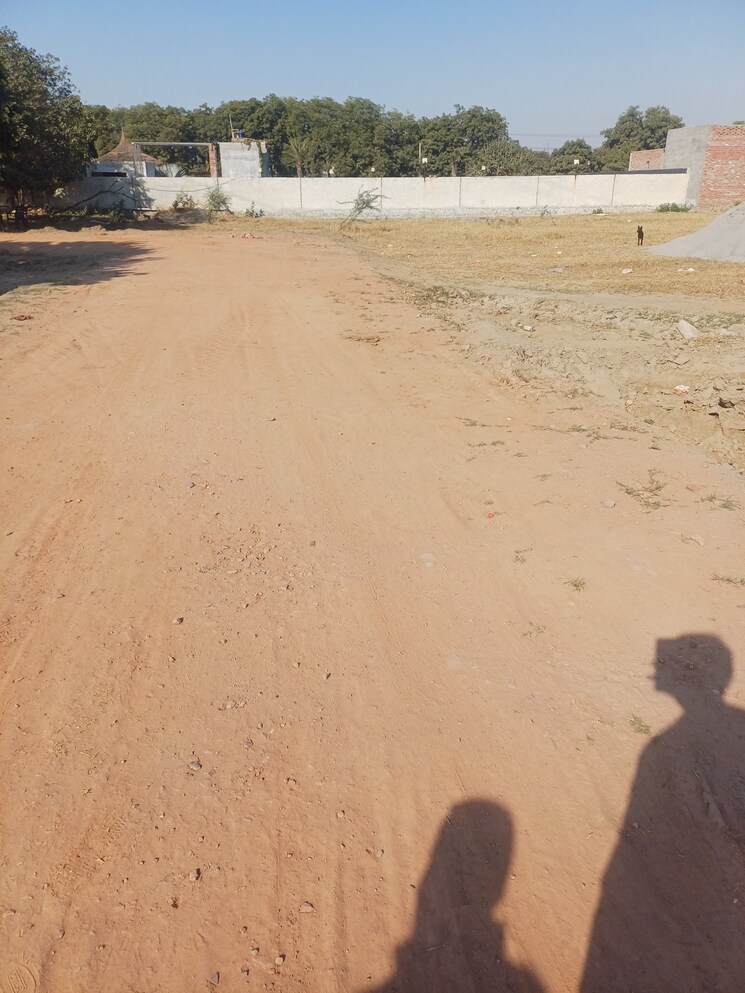 undefined, jajru  56 Sq.Yd. Plot In Jajru Faridabad 8027930