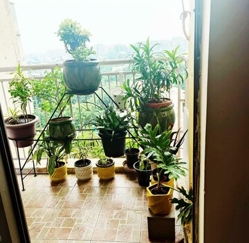 Balcony in 3 BHK Apartment at Tulip Violet, Sector 69 – for Rent