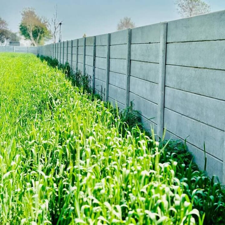 Exterior View, techzona-magna-tech-city  210 Sq.Yd. Plot In Knowledge Park V Greater Noida Greater Noida 8028171