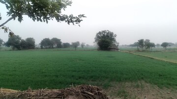 Plot For Resale in Govardhan Road Mathura  8027648