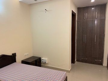 3 BHK Builder Floor For Rent in Ansal Sushant Lok I Sector 43 Gurgaon  8028263