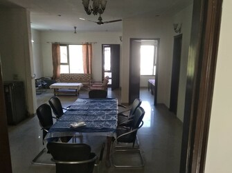 4 BHK Apartment For Rent in Old DLF Colony Sector 14 Gurgaon  8028331