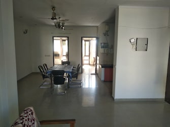 4 BHK Apartment For Rent in Old DLF Colony Sector 14 Gurgaon  8028331