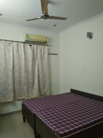 4 BHK Apartment For Rent in Old DLF Colony Sector 14 Gurgaon  8028331