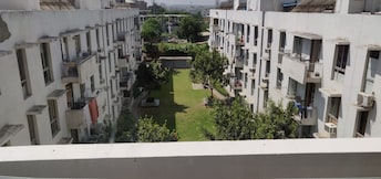 3 BHK Apartment For Rent in Vatika City Homes Sector 83 Gurgaon  8028362