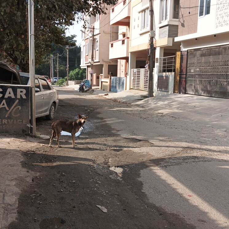 Exterior View, akshayanagar  1200 Sq.Ft. Plot In Akshayanagar Bangalore 8028589