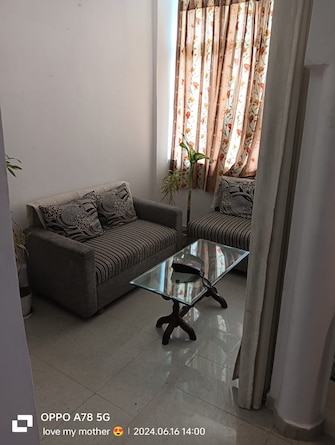 3 BHK Builder Floor For Rent in Sector 38 Chandigarh  8028787