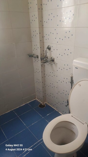 Bathroom in 2 BHK Apartment at Ansal API Santushti Enclave, Sushant Golf City – for Rent