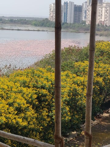2 BHK Apartment For Rent in NRI Complex Phase 2, Seawoods